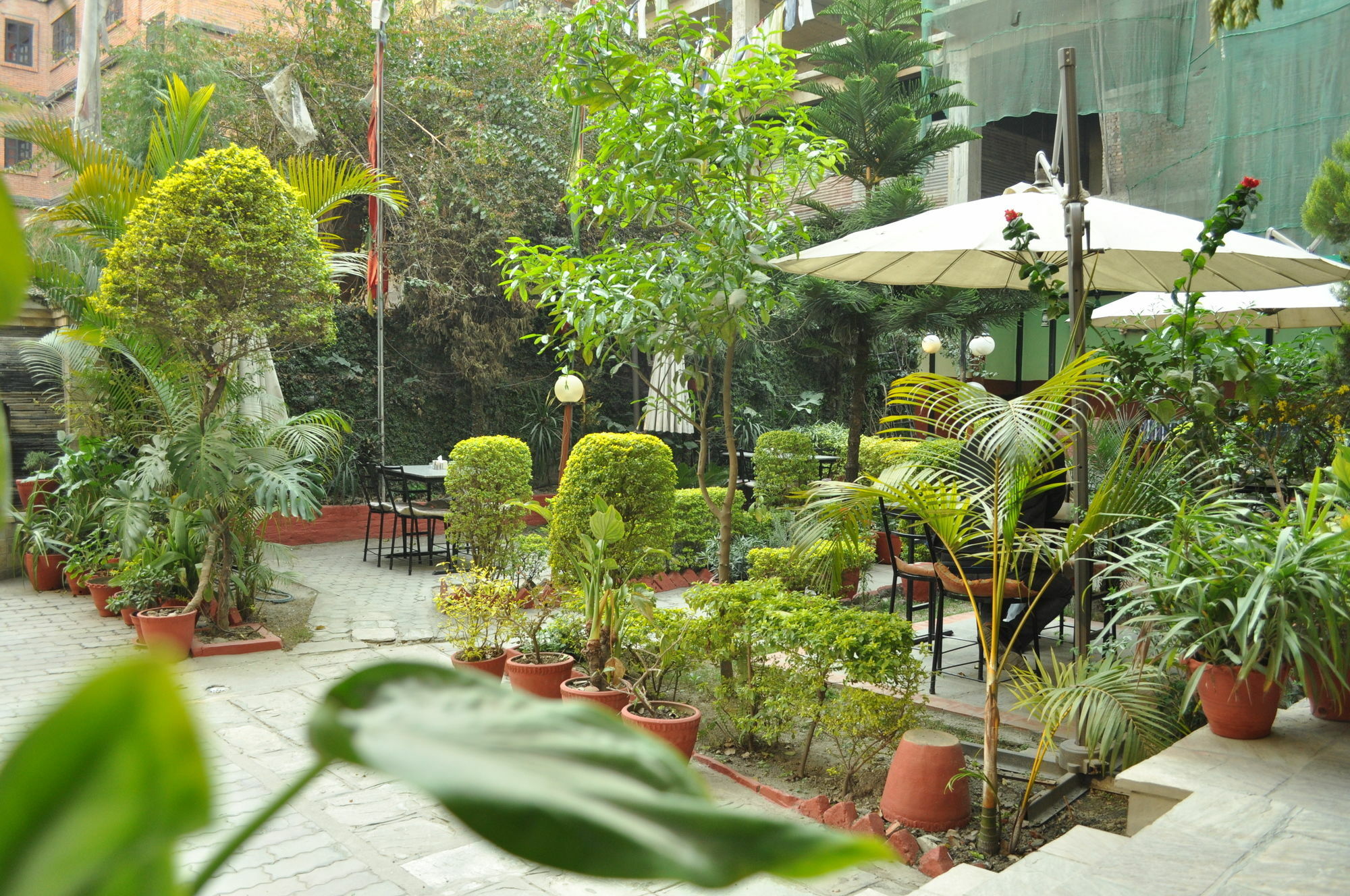 Hotel Florid Катманду Екстериор снимка