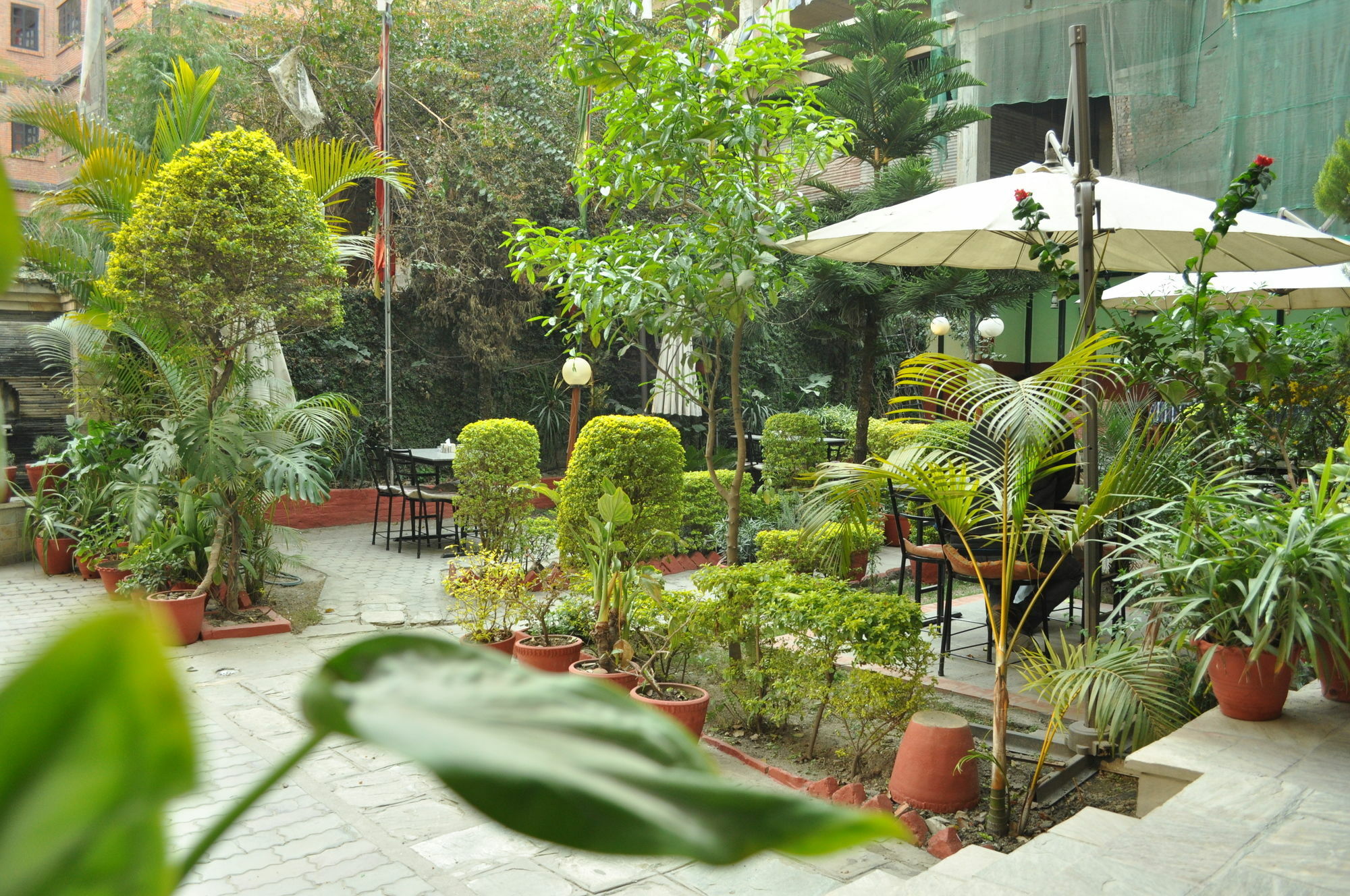 Hotel Florid Катманду Екстериор снимка